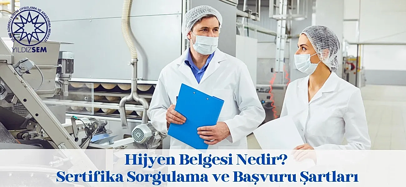 Hijyen Belgesi Nedir? Sertifika Sorgulama ve Başvuru Şartları