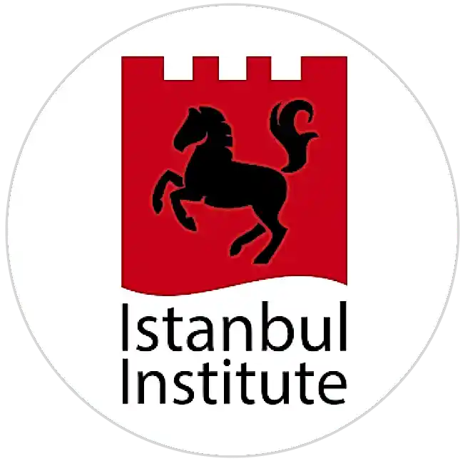 Istanbul Institute